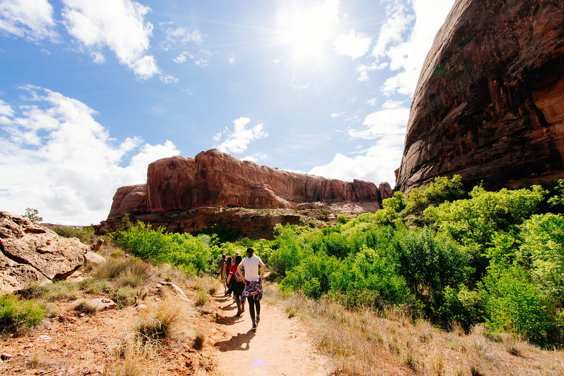 Women walking together on a sunlit outdoor trail
