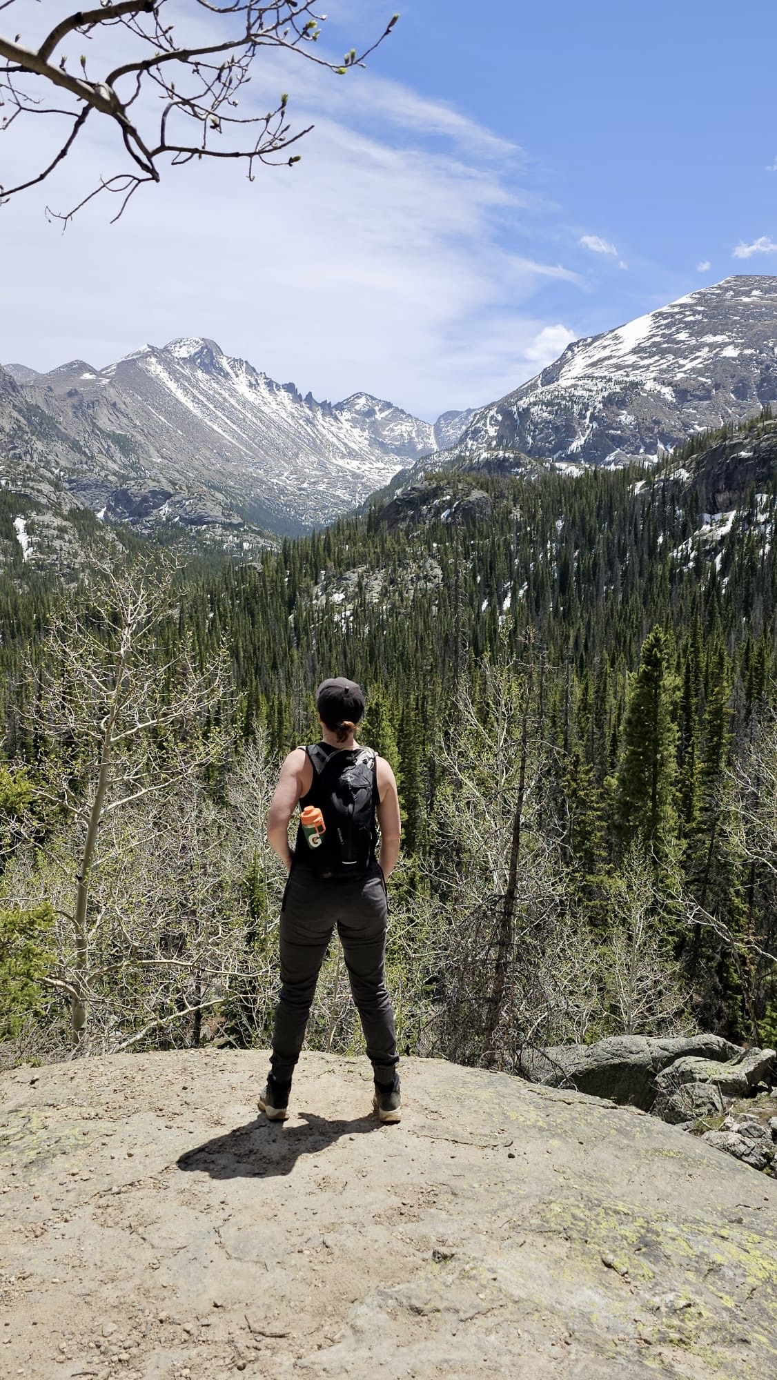 Debra Natasha Pogorelsky, founder of Wild Ambition, looking out at the Colorado Rockies